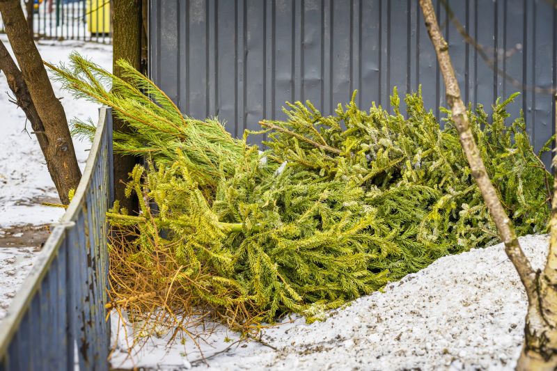 Concrete Removal And Disposal